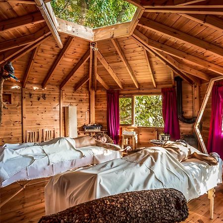 Spa In The Woods - B&B In Amirim Dış mekan fotoğraf