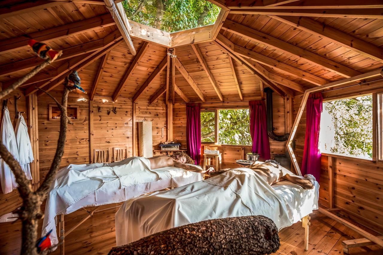 Spa In The Woods - B&B In Amirim Dış mekan fotoğraf